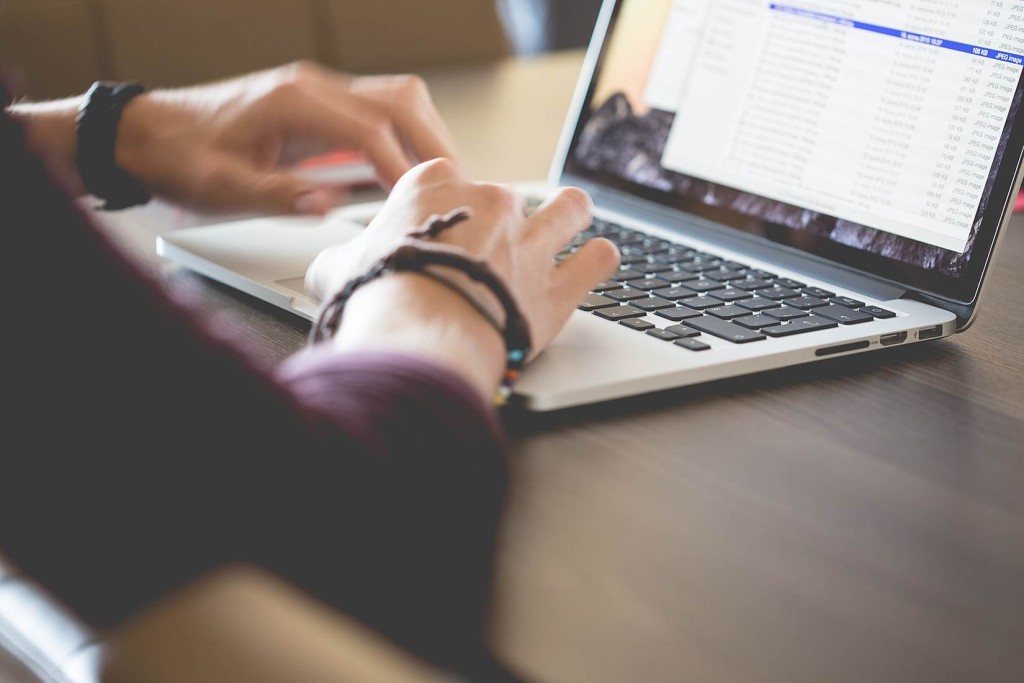 Explore anita desais intensely evocative descriptive style in studies in the park essay image